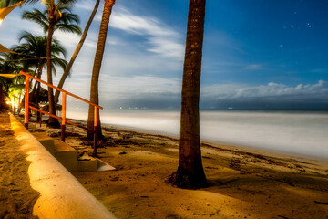 Night view of the sea with stais and palm trees