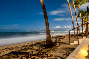 Night view of the sea with stais and palm trees