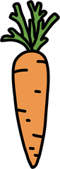 doodle freehand sketch drawing of carrot vegetable.