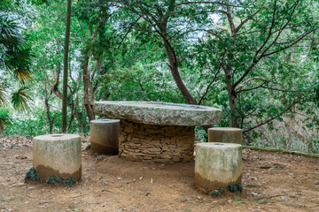 wooden bench in the forest