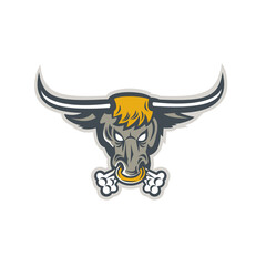 Texas Longhorn Bull Head Front