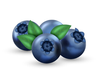 Juicy ripe blueberries with green leaves. Bilberry for advertising. Set of whortleberry and leaves