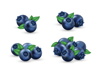 Set of realistic blueberry with green leaves. Fresh tasty blue berries, juicy sweet ingredient