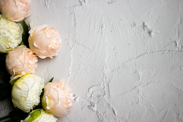 Pink roses over the white texture background with copy space. 