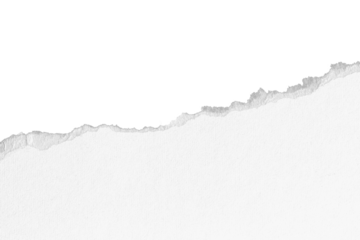 Torn paper