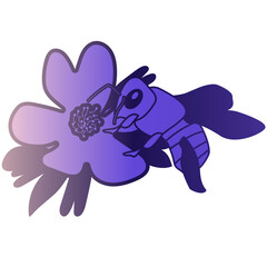 Fototapeta premium Bee pollinating flowers