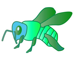 Honey bee illustration