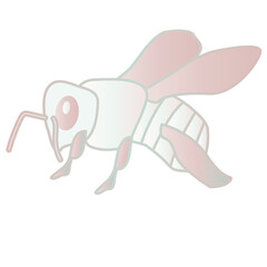 Honey bee illustration