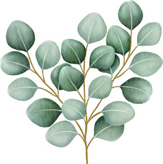 Watercolor eucalyptus leaves and branch