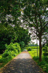 Beautiful green village along green fields, forests, and a river.