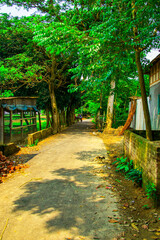 Beautiful green village along green fields, forests, and a river.