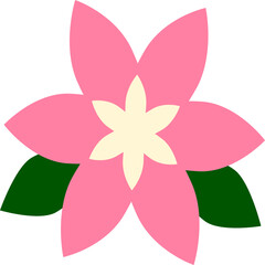 pink flower illustration
