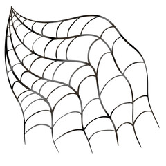 Spider web silhouette. Illustration isolated on a white background.