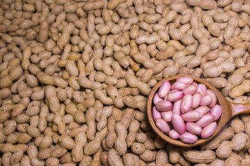 Raw peanut kernels in a big wooden spoon on peanuts background.