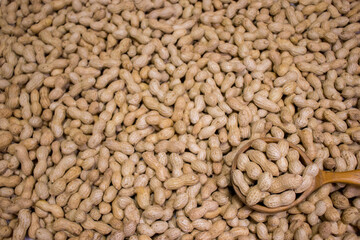 Raw peanuts in a big wooden spoon on peanuts background.