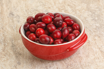 Ripe sweet tasty cranberry in the bowl