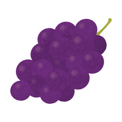 手描きのぶどう