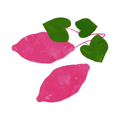 手描きのさつまいも