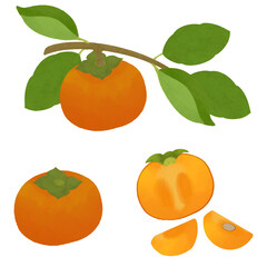 手描きの柿のセットイラスト