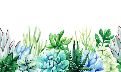 Seamless border composed of green and blue succulent plants © nurofina