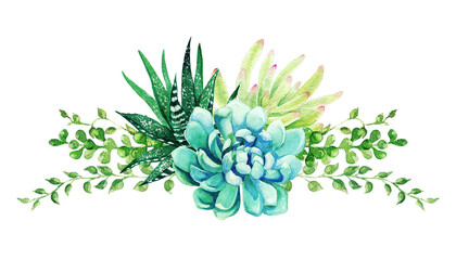 Bright watercolor succulent plants bouquet, arrangement, hand drawn