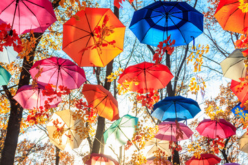 Multicolored umbrellas on the autumn park. Colorful umbrellas hanging among trees in the fall