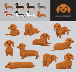 Dog Dachshund Long Hair Cartoon Vector Illustration Color Variation Set