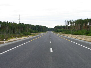 a new asphalt road passes through a pine forest