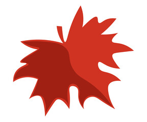 nature, season, autumn, colorful leaves