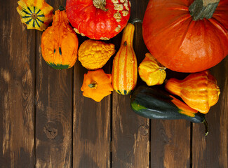 Decorative pumpkins on wooden background. Variety of edible and decorative gourds and pumpkins.