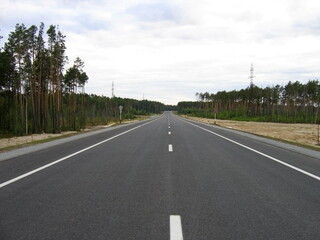 Fototapeta na wymiar a new asphalt road passes through a pine forest