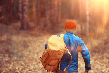 man with  backpack a view from the back, hiking in the forest, autumn landscape, the back of ...