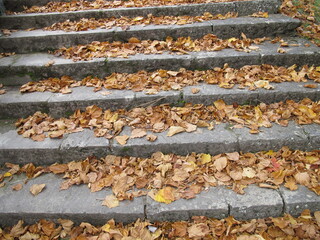 Autumn leaves on stairs