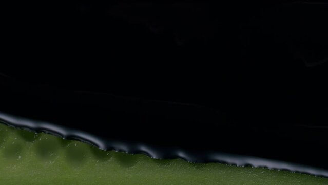 Black ink drips on a cut cucumber and paints it black with some glitter - extreme close-up