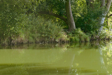 Autumn landscape with river and trees with reflection in water.