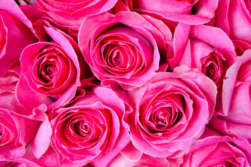 Pasar Lama Tangerang, Banten, Indonesia – August 21, 2022: Roses or Rosoideae with Selected Focus.