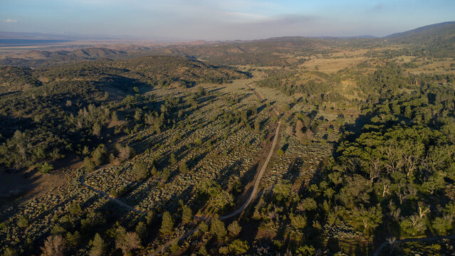 Angeles National Forest near Sandberg