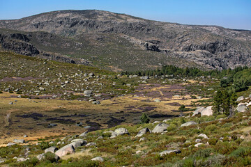 Fototapeta na wymiar Vallée de la Serra d'Estrela, plus haute montagne du Portugal, à la végétation basse et aux rochers de granit.