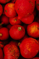 mehrfarbige helle kürbisse, herbsthintergrund mit saisonalen produkten, inspiration für herbst, halloween