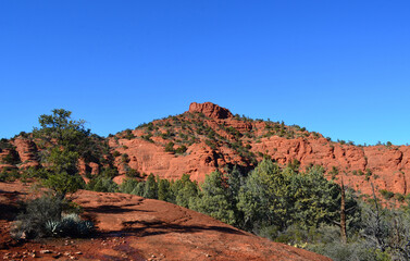 Vibrant Landscape of Lush and Rocky Sedona Arizona