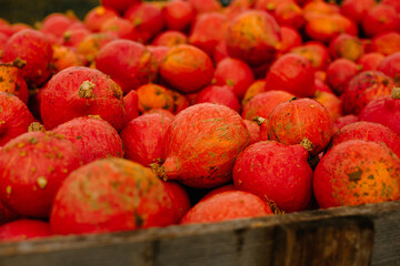 mehrfarbige helle kürbisse, herbsthintergrund mit saisonalen produkten, inspiration für herbst, halloween