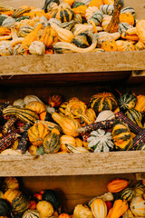 mehrfarbige helle kürbisse, herbsthintergrund mit saisonalen produkten, inspiration für herbst, halloween