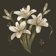 Vintage botanical illustration. Flower poster with luxurious white lilies and butterflies. Handmade aquatic drawing, realistic graceful flowers. Interior poster, print, canvas design.
