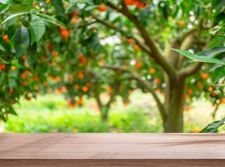 Wooden table top and blurred orange trees covered with orange fruits at the background.