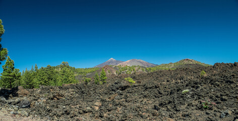 Teide National Park. Tenerife Island.