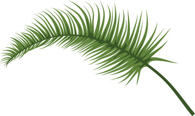 botanical green leaf