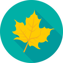 Maple Leaf Vector Icon