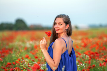 portrait of elegant young woman in poppy field in evening sunlight