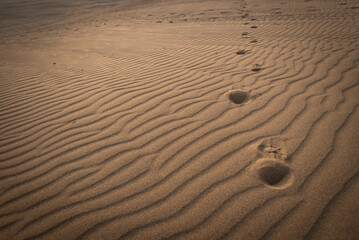砂丘の足跡