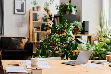 Workplace of white collar worker in office decorated with green domestic plants growing in flowerpots against couch and shelves